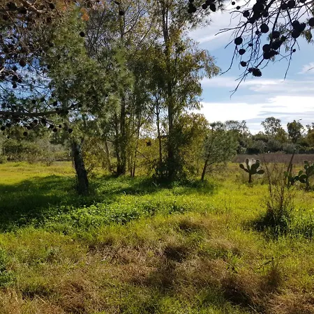 דירה House Mia *